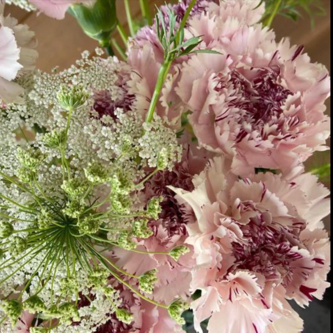 Solent Stems | Gosport | Subscription Flowers