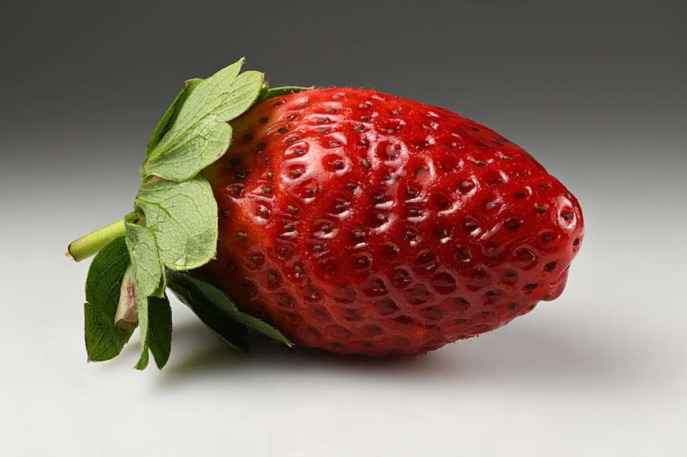 Solent Stems | Gosport | Strawberries are not in season