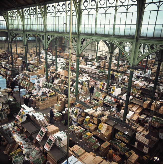 Solent Stems | Gosport