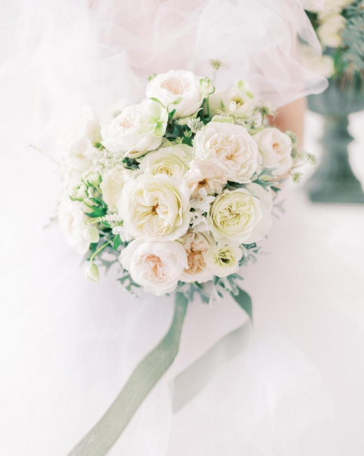Solent Stems | Gosport | Blog