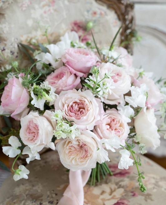 Solent Stems | Gosport | Blog