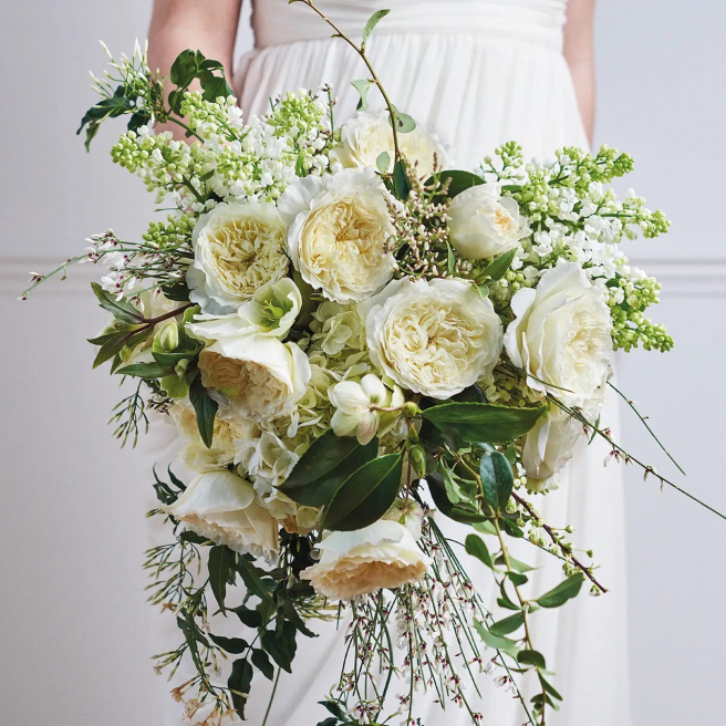 Solent Stems | Gosport | Blog
