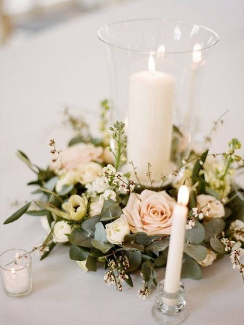 Solent Stems | Gosport | Freelance