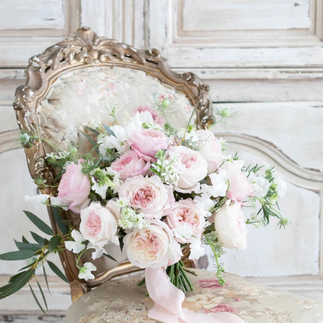 Solent Stems | Gosport | Freelance