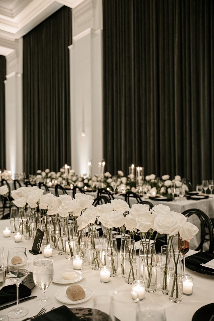 Solent Stems | Gosport | Event Enquiries