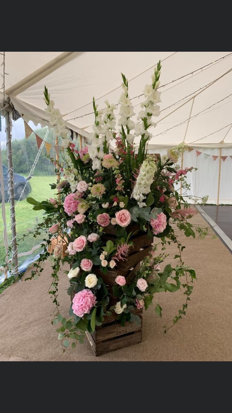 Solent Stems | Gosport | Event Enquiries