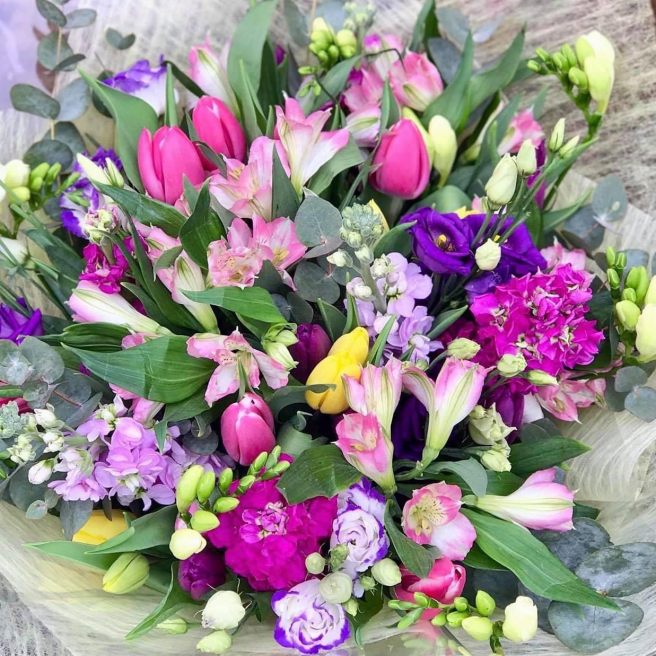 Solent Stems | Gosport | Home