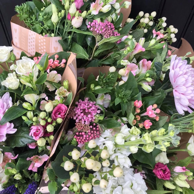Solent Stems | Gosport | Home