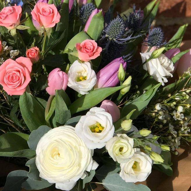 Solent Stems | Gosport | Home