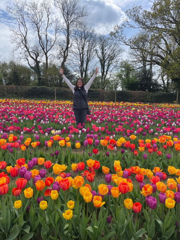 Solent Stems | Gosport | About us