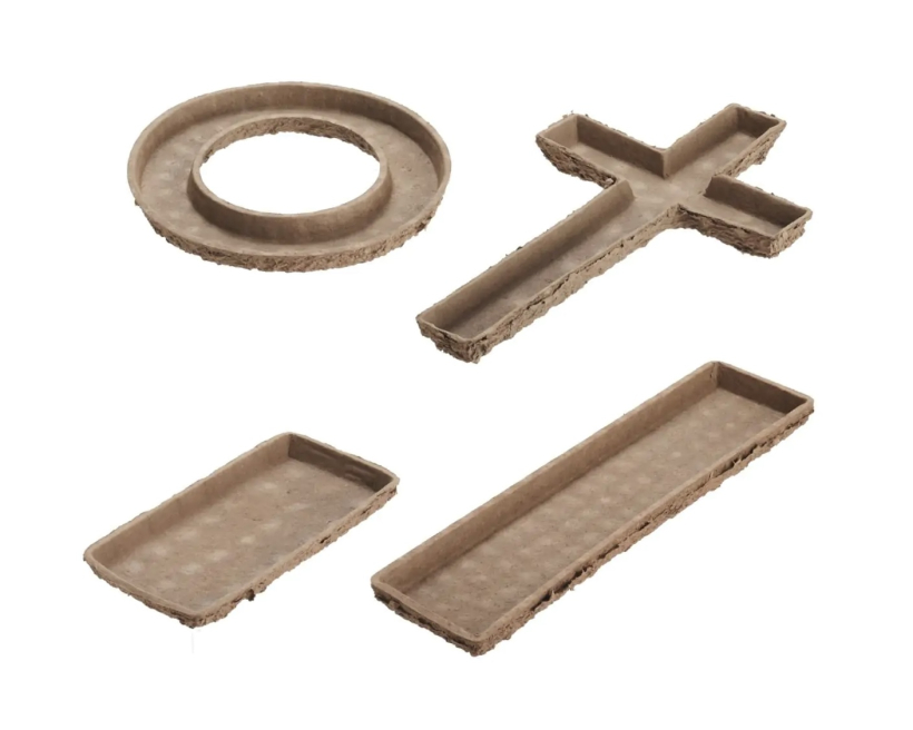 Solent Stems | Gosport | Blog