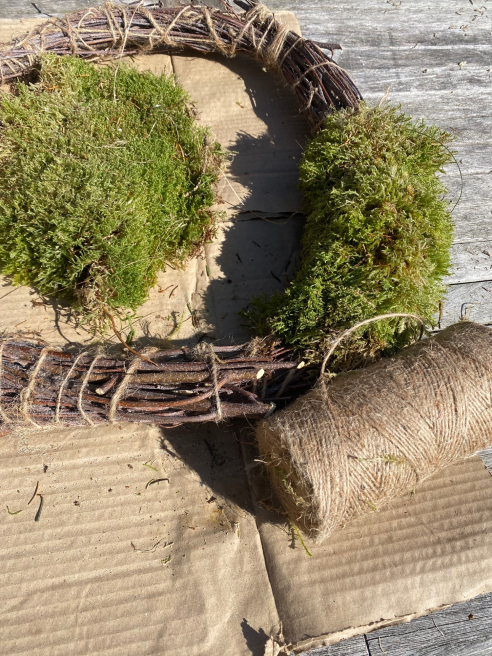 Solent Stems | Gosport | Blog