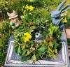 Solent Stems | Gosport | Eco Friendly Funeral Flowers