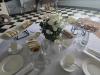 Solent Stems | Gosport | Event Enquiries