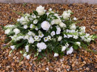 Funeral & Sympathy Tributes | Funeral Tribute - Casket Spray