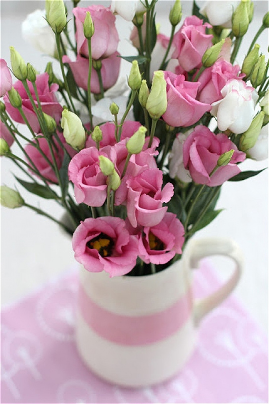 Gifts | Subscription | Flower - Subscription