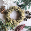 Christmas | Wreaths  | Full - Christmas Door Wreath Kit