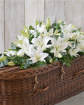 Funeral Flowers | Funeral Tribute - Lily Casket Spray