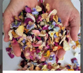 Flower Patch | Weddings | Biodegradable Confetti