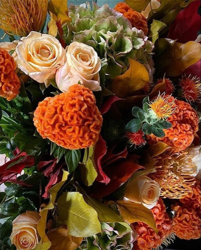 Autumn | Birthday | Bouquets | Congratulations | Get Well | Signature Stems | Thank you | I am an Autumn