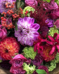 Autumn | Birthday | Bouquets | Congratulations | Get Well | Signature Stems | Thank you | I am an Autumn