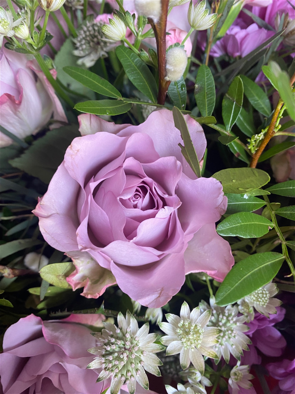 Bouquets | Lavender Lush