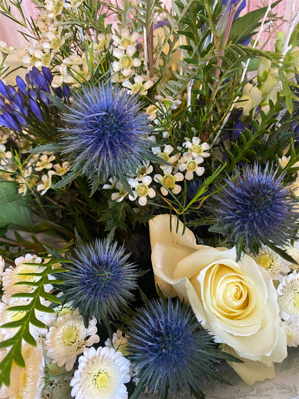 Birthday | Bouquets | Get Well | International Women's Day | New Baby | Signature Stems | Thank you | Blue-tee-ful