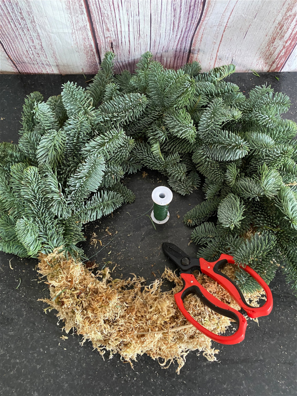 Workshops | Gosport - Christmas Door Wreath - Workshop