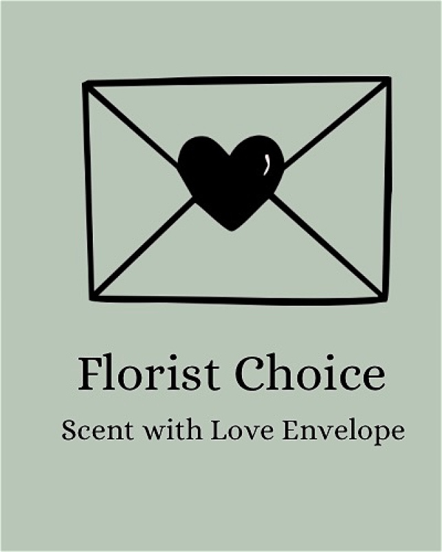 Arrangements | Birthday | Get Well | New Baby | Same Day | Thank you | FLORIST CHOICE - Scent from the Solent - Envelope of Blooms