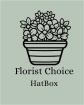 Arrangements | Birthday | Congratulations | Get Well | Same Day | Thank you | FLORIST CHOICE - Stylish Hatbox