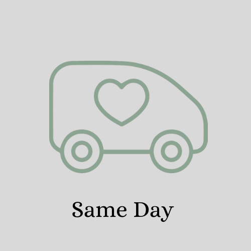 Solent Stems | Gosport | Gift Flowers