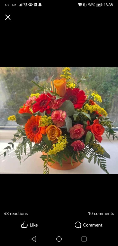Autumn/halloween | Hatbox  | Orange blast
