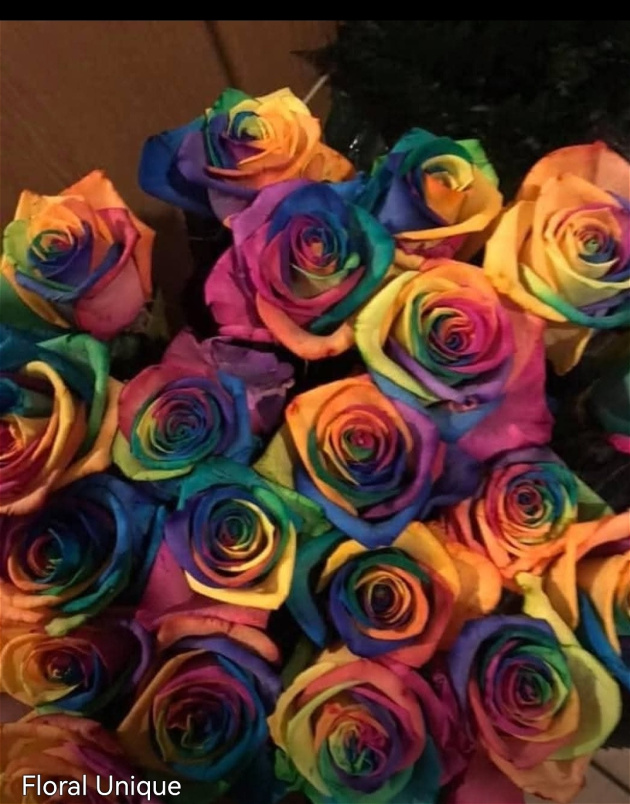 Valentines  Day 14th feb 2025 | Rainbow roses