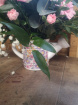 Todays specials | Ceramic watering can
