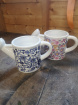 Todays specials | Ceramic watering can
