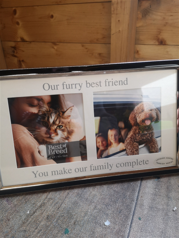 Home and gift wear | Todays specials | Our furry best friend