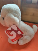 available and ready to go today | teddies | Puppy teddy