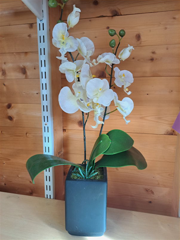 available and ready to go today | Artificial orchid plant
