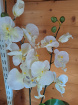 available and ready to go today | Artificial orchid plant