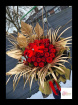 Bouquets | Valentine's Day | 