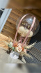 Balloon's  | Bouquets | Gifts | Mother's Day | Day Dream Molly