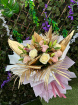 Facebook & Instagram Featured Bouquet’s | Fairy Princess 25/07/2023