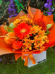 Apology Flowers | Birthday Flowers  | Congratulations Flowers | Friendship Flowers | Good Luck Flowers | New Year Flowers | Retirement Flowers | Autumn Surpise