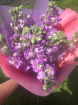 Bouquets from £15 | stocks