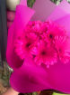 Bouquets from £15 | Gerbera