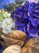 Apology Flowers | Birthday Flowers  | Bouquets | Facebook & Instagram Featured Bouquet’s | Friendship Flowers | New Baby Flowers  | Surprise | Thank You | Feeling Blue Never Looked So Beautiful