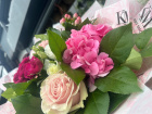 Bouquets | Special Offers | Pink Petal Perfection