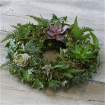 All Funeral Flowers | Funeral & Sympathy  | Wreaths | Living succulent wreath