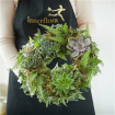 All Funeral Flowers | Funeral & Sympathy  | Wreaths | Living succulent wreath