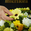 All Funeral Flowers | Funeral & Sympathy  | Posies And Baskets | Scented yellow posy